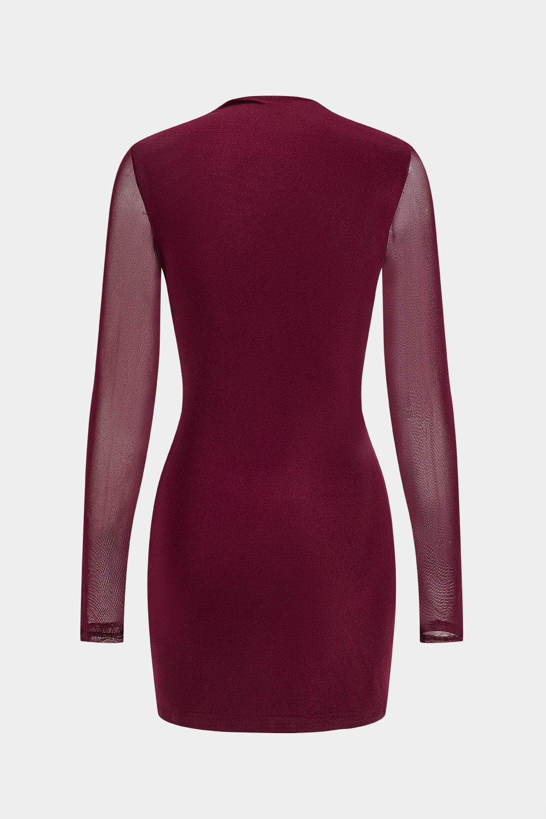 Mesh Ruched Long Sleeve Mini Dress